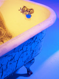 Chipped and Cracked Antique Clawfoot Bathtub