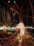 Christmas Lights  Washington  USA