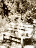 Garden Bench with Basket of Tulips and Straw Hat  Washington  USA