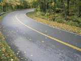 Scenic Highway with Leaves Strewn Across