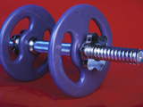Purple Plastic Dumbbell for Workout