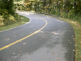 Scenic Highway Through Sunshine and Forest