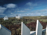 Cemetery Under Blue Sky - Tuktut Nogait