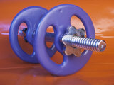 Purple Plastic Dumbbell for Workout