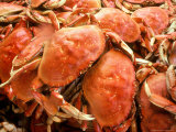 Fresh Crab in Pike Street Market  Seattle  Washington  USA