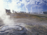 Upper Geyser Basin  Yellowstone National Park  Wyoming  USA