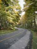 Scenic Highway Through Sunshine and Forest