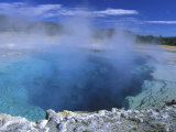 Lower Geyser Basin  Yellowstone National Park  Wyoming  USA