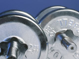 Steel Dumbbell for Workout
