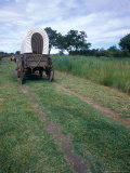 School Children Tour Oregon Trail Conestoga Wagon  Walla Walla Washington  USA