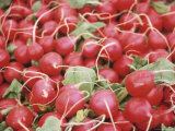 Pile of Ripe Radishes