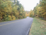 Beautiful Winding Highway Through Forest