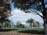 Scenic Trees and Buildings