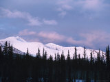Scenic View of Trees and Snowy Peaks