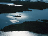 Serene Forest and Lake