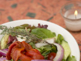 Tasty Grilled Vegetable Salad with Herb Spring Garnish