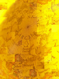 Close-up of Grid Image of Antique Yellow Globe