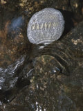 Create Written on Rock Underwater