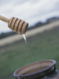 Sweet Honey Dripping from a Wooden Spoon