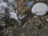Create Written on Rock Underwater