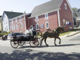 Horse and Carriage on a Street