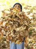 Little Boy Carrying Huge Pile of Leaves