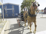 Horse-Drawn Wagon