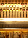Close-up of Money in Till of Antique Cash Register