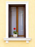 Blooming Red Geranium on Beautiful White Wooden Windowsill