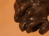 Close-up of a Brown Gargoyle Face