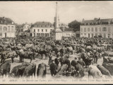 The Cattle Market in the Place Victor Hugo Arras Northern France