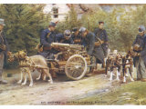 During World War One the Belgians Harness Their Dogs to Machine Guns Instead of Milk Carts