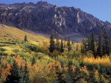 Autumn at San Miguel Mts  Durango  CO