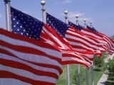 US Flags at Louisiana Mem Plaza  Baton Rouge
