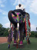 Decorated Elephant  Rajasthan  India