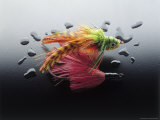 Colorful Fly-Fishing Lures