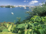 Hamilton Harbor with Greenery