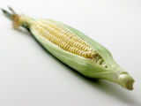 corn