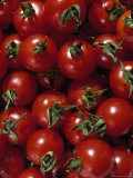Cherry Tomatoes