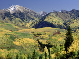 Treasure Mt  White River Nf  CO