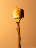 Roasted Marshmallow on a Stick