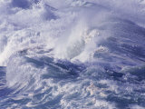 Waves  Waimea  North Oahu