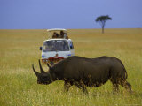Rhinoceros  Masai Mara  Kenya  Africa