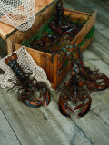 Lobsters