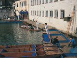 Cambridgeshire Punting  Cambridge