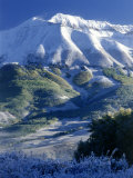 Snow  Trees and Mountains