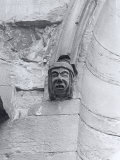 Gargoyle  Melrose Abbey  Scotland