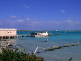 Conch Farm  Turks & Caicos Islands
