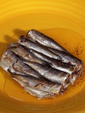 Plate of Canned Sardines