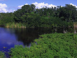 Everglades National Park  FL